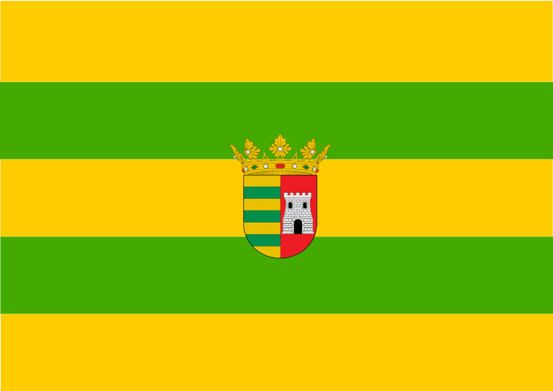 Bandera de Paterna de Rivera